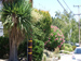 California picture