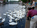 London picture