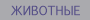 animals navigation bar button